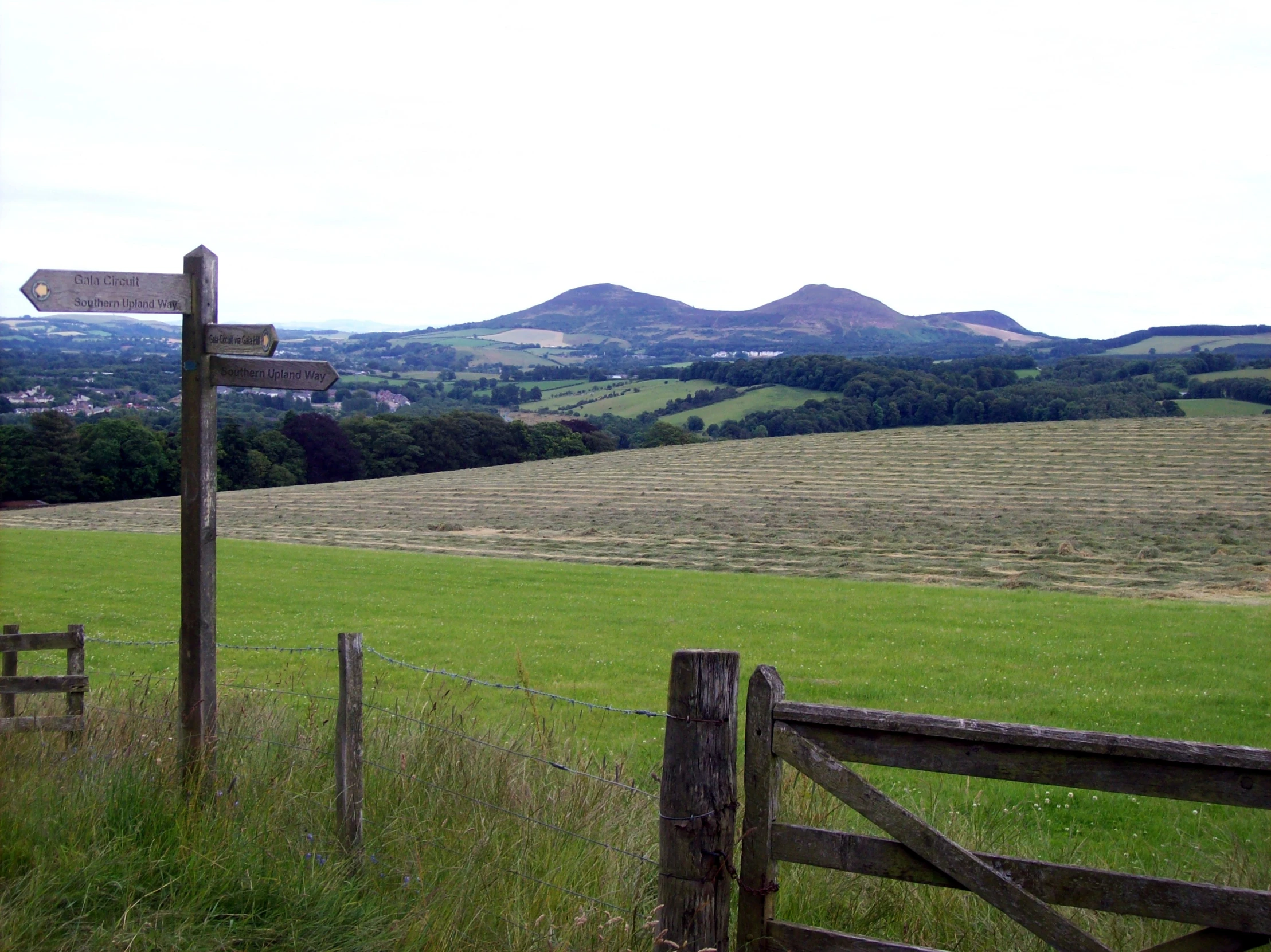 a gate on the side of a grassy hill next to a field