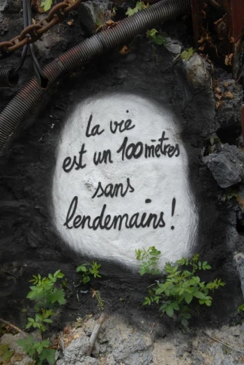 graffiti painted on a rock with vines growing from it