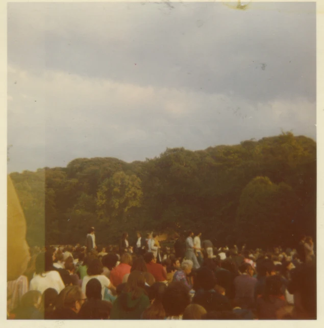 a large crowd gathers in the park for a festival