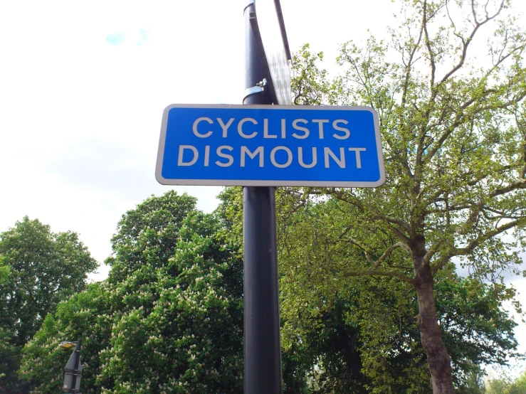 a close up of a sign near some trees