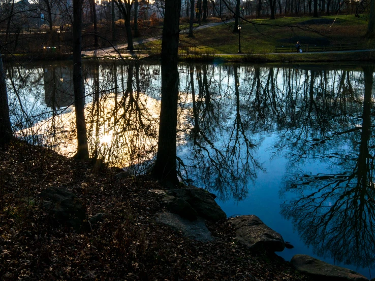 an evening view of a small pond near trees