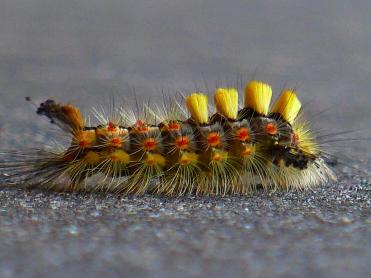 a caterpillar sits on the road next to the sidewalk