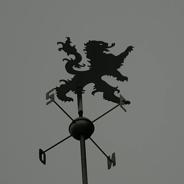 there is a weather vane that is on the roof of the house