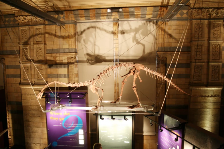 a dinosaur skeleton with some other animals in the background