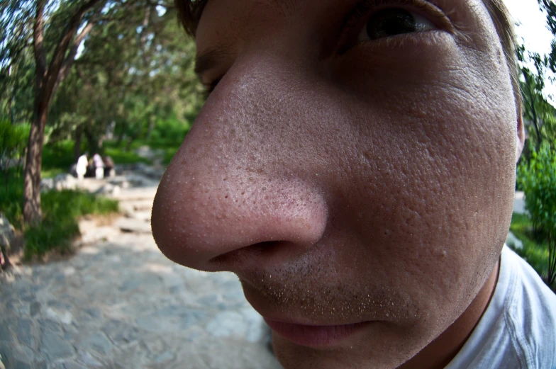 a man is looking into the distance near a forest