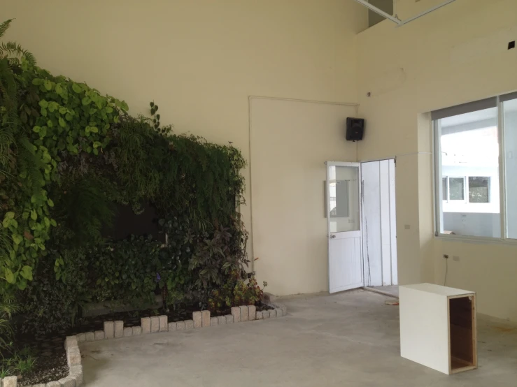 a room with a plant covered wall and doorway