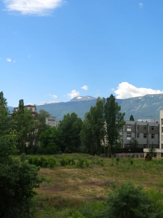 a grassy field near a building with trees