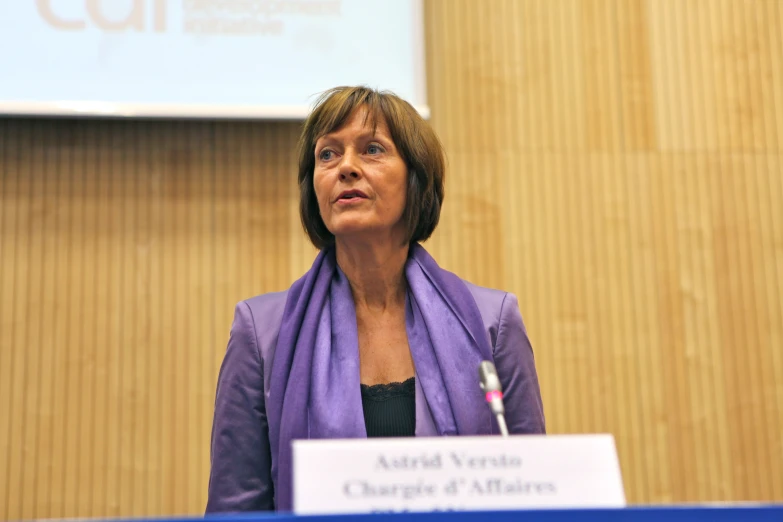 a woman is speaking at a conference