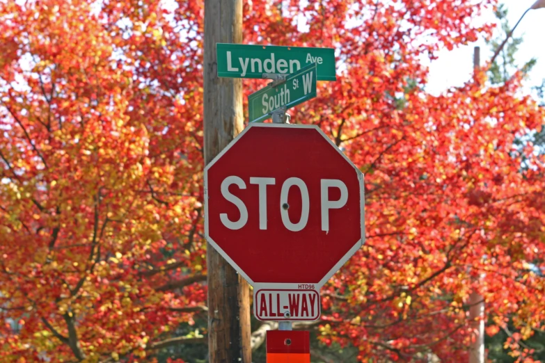 there is a stop sign that has a street sign and one street name