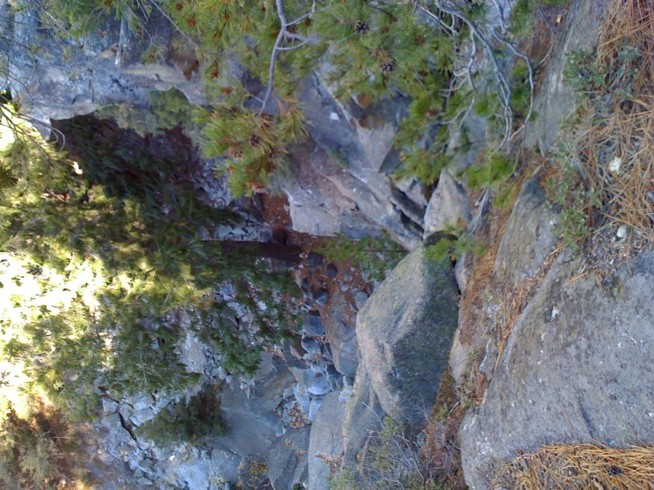 the small cat is climbing a rocky path