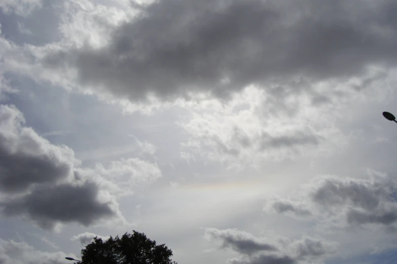 a bird flying on a cloudy sky above trees