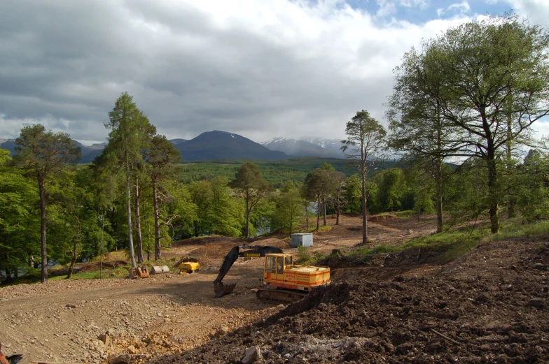 trees, dirt and a hill with mountains in the distance