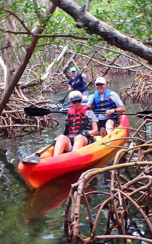 people in kayaks floating down a river