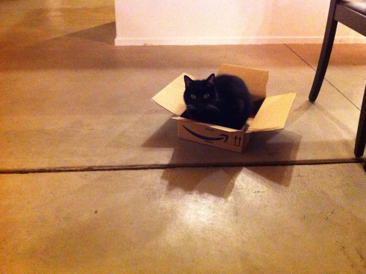 a black cat is inside an amazon box on the floor