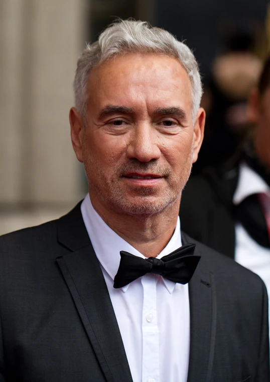 a well dressed man is wearing a suit and bow tie