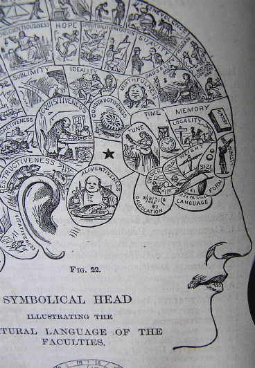 a diagram of the human head and the five languages of the language