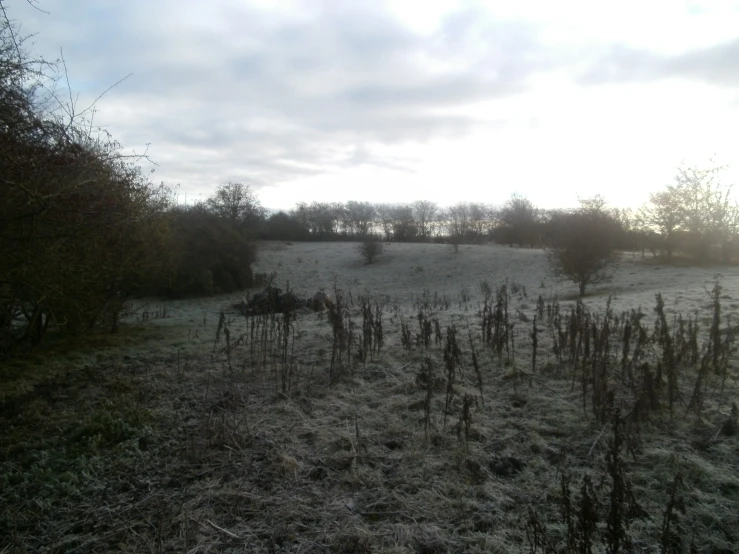 a grassy field that is empty and covered with grass