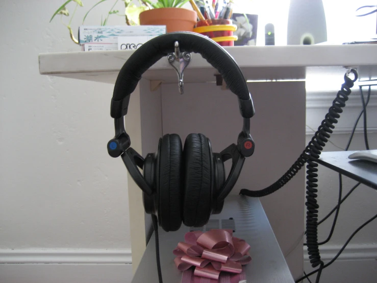 a pair of headphones with corded heads, on display