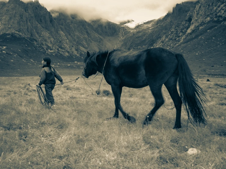 a man walking with a black horse in a field