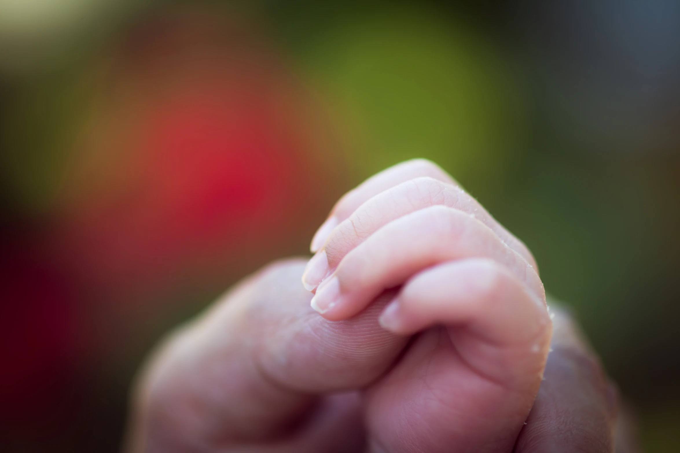 a hand holding a little hand on a blurry background