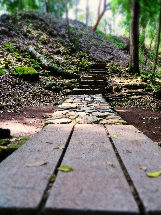 an old wooden path in the middle of a wooded area