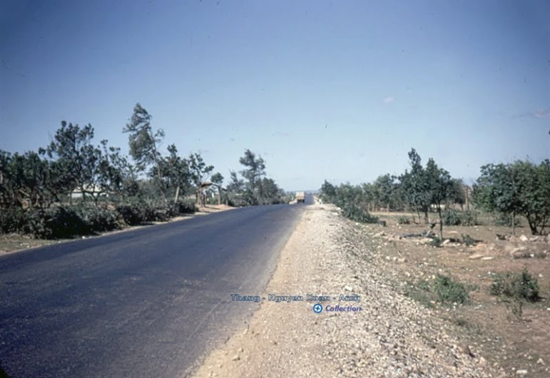 a large street is lined with small trees