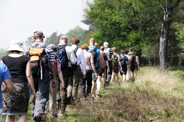 several people walking in line on a path