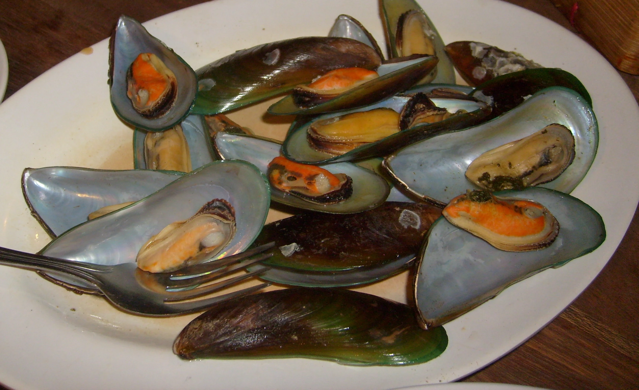 there are many clams on this white plate