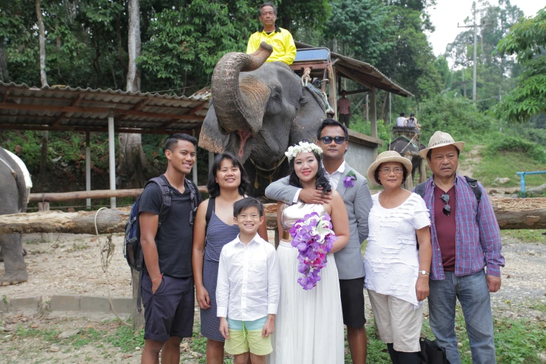 a group of people standing in front of a large elephant