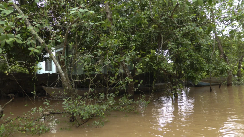 a boat sits in a muddy river next to green trees