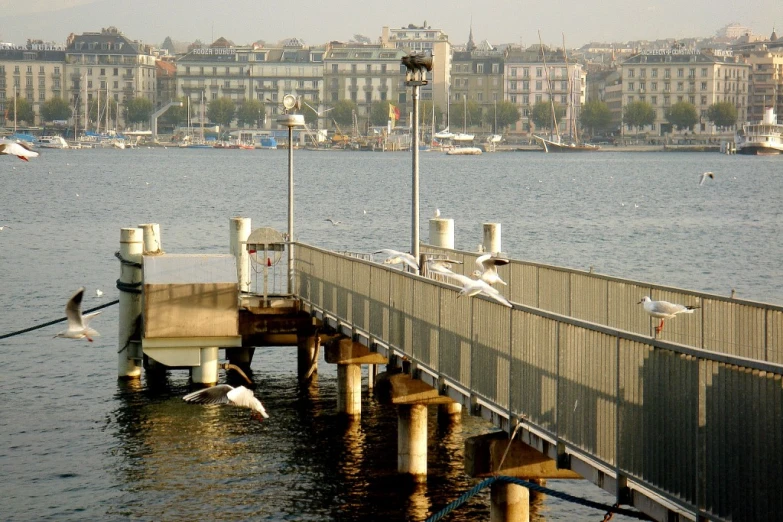 a pier filled with birds flying over the water