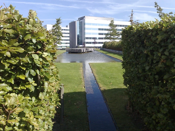 a water channel sitting between two hedges by a building