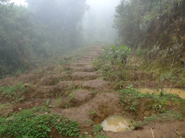 dirt road that has been dug in the ground