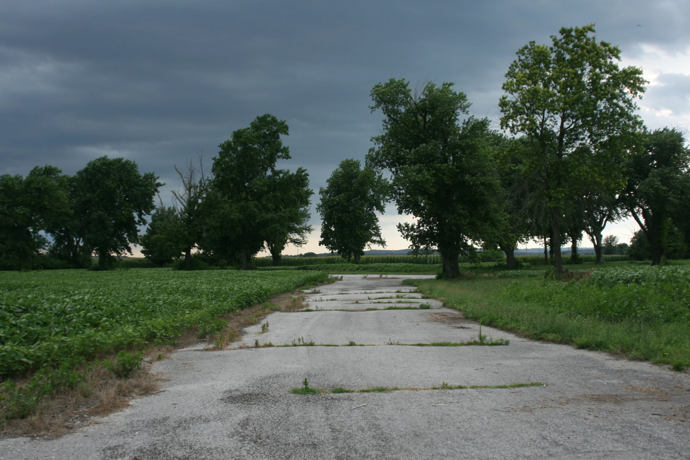 an empty path surrounded by grassy fields on a cloudy day