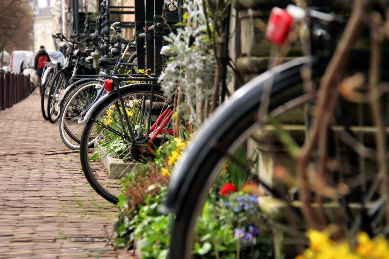 several bicycles are parked near a building