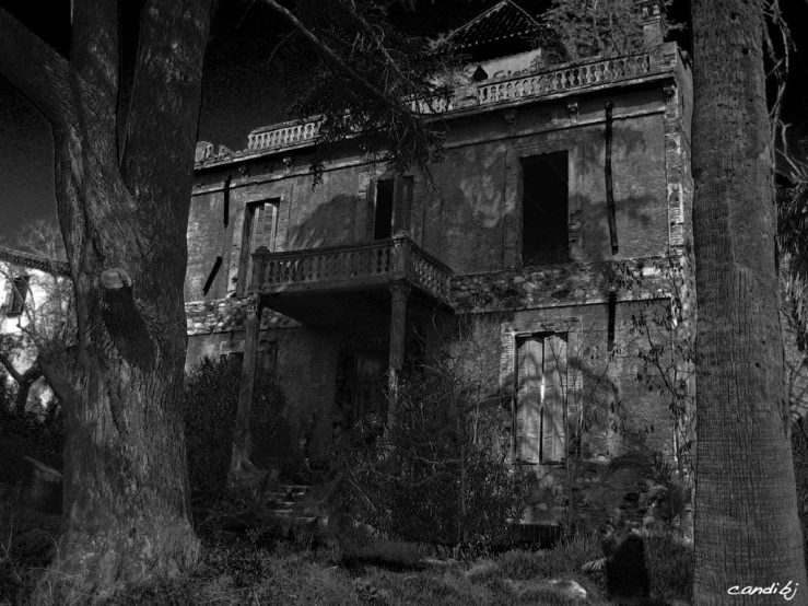 the back of an old house with trees and a door