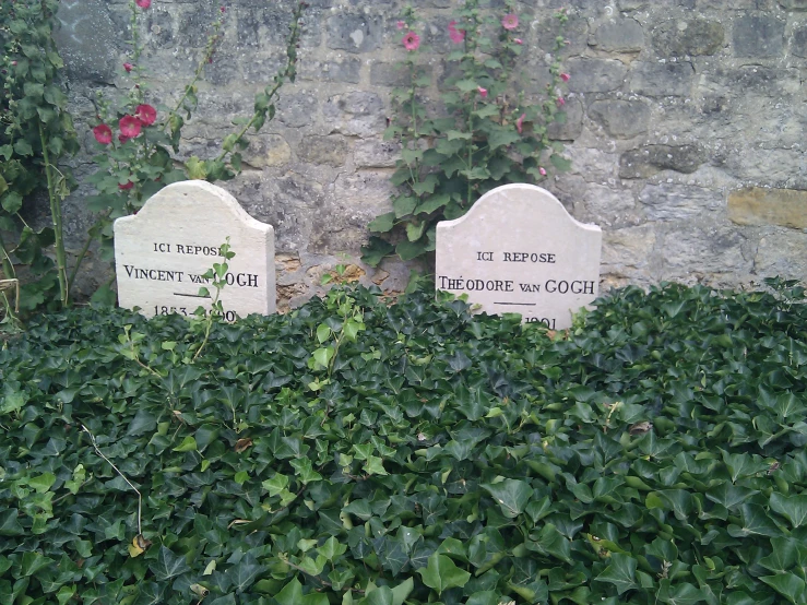 two headstones sitting in a patch of plants