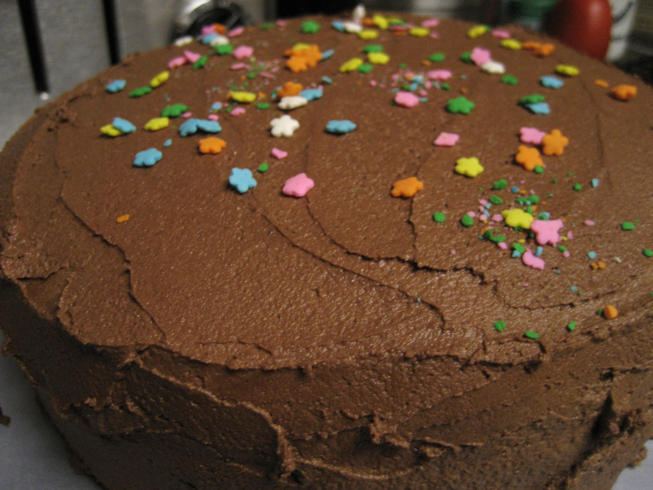a chocolate cake topped with lots of sprinkles