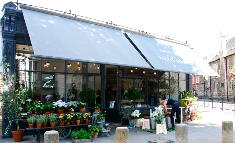 an outside view of a shop with potted plants