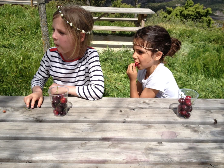 two children sitting at a picnic table with jars of cherries