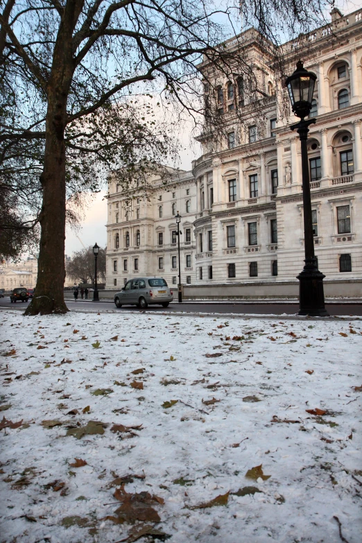 a park and lamppost with trees covered in snow