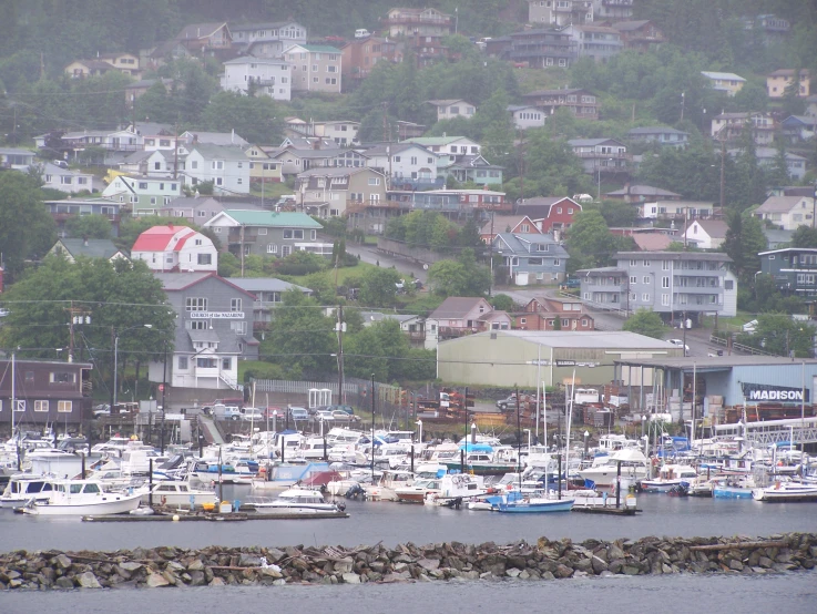 a large group of boats at a dock in the water