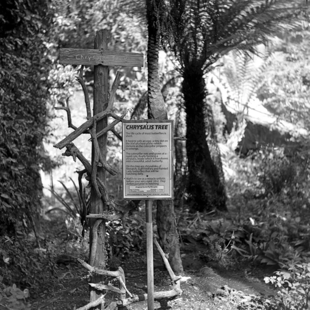 a wooden sign with a cross mounted to it