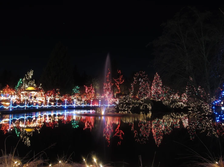 there is a small pond full of colorful lights