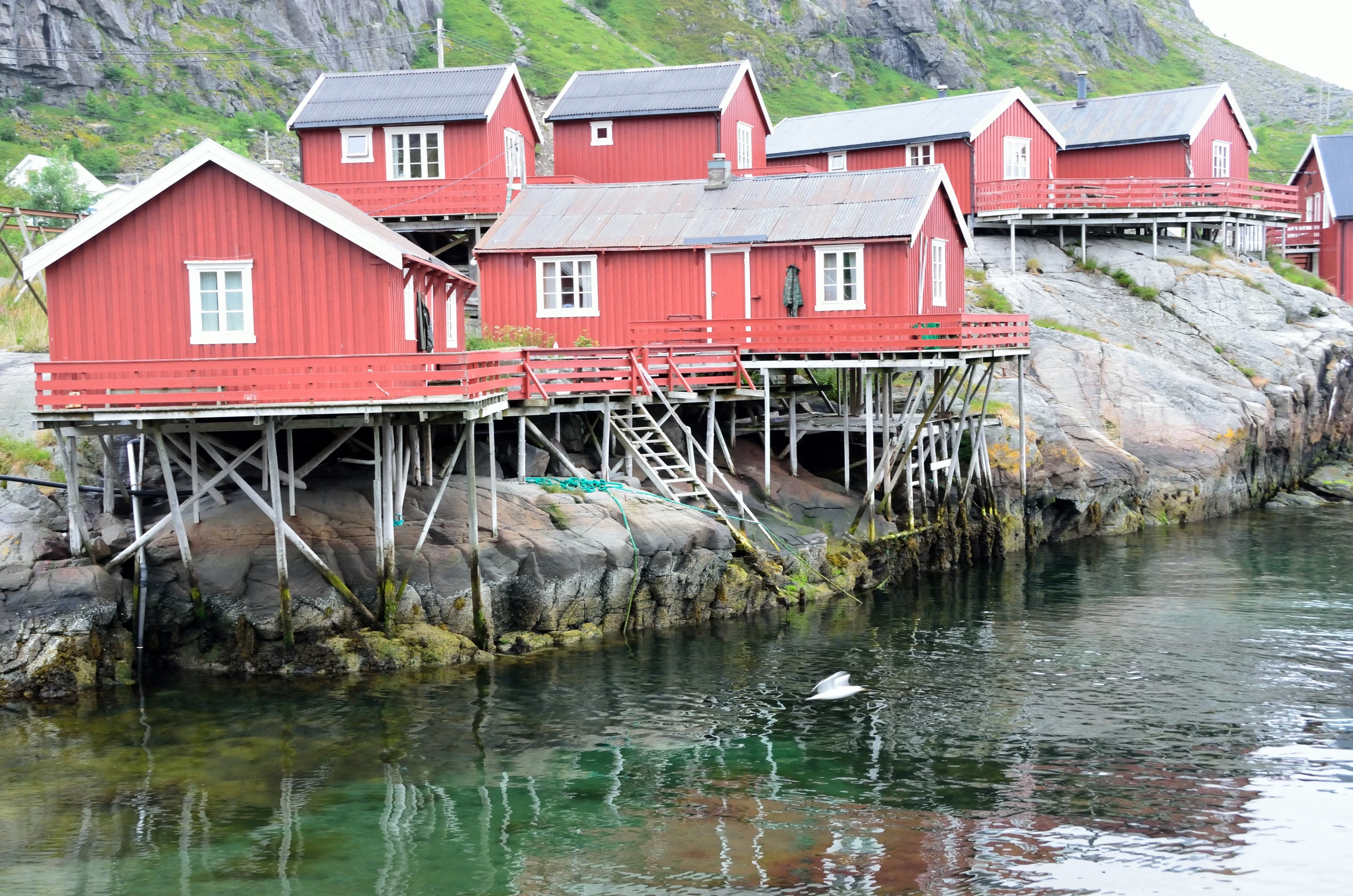 red houses with wooden walkways on both sides near the water