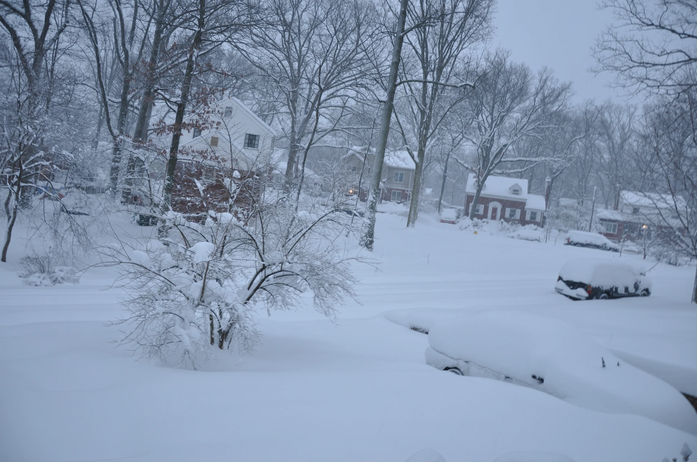 a large amount of snow is covering the ground