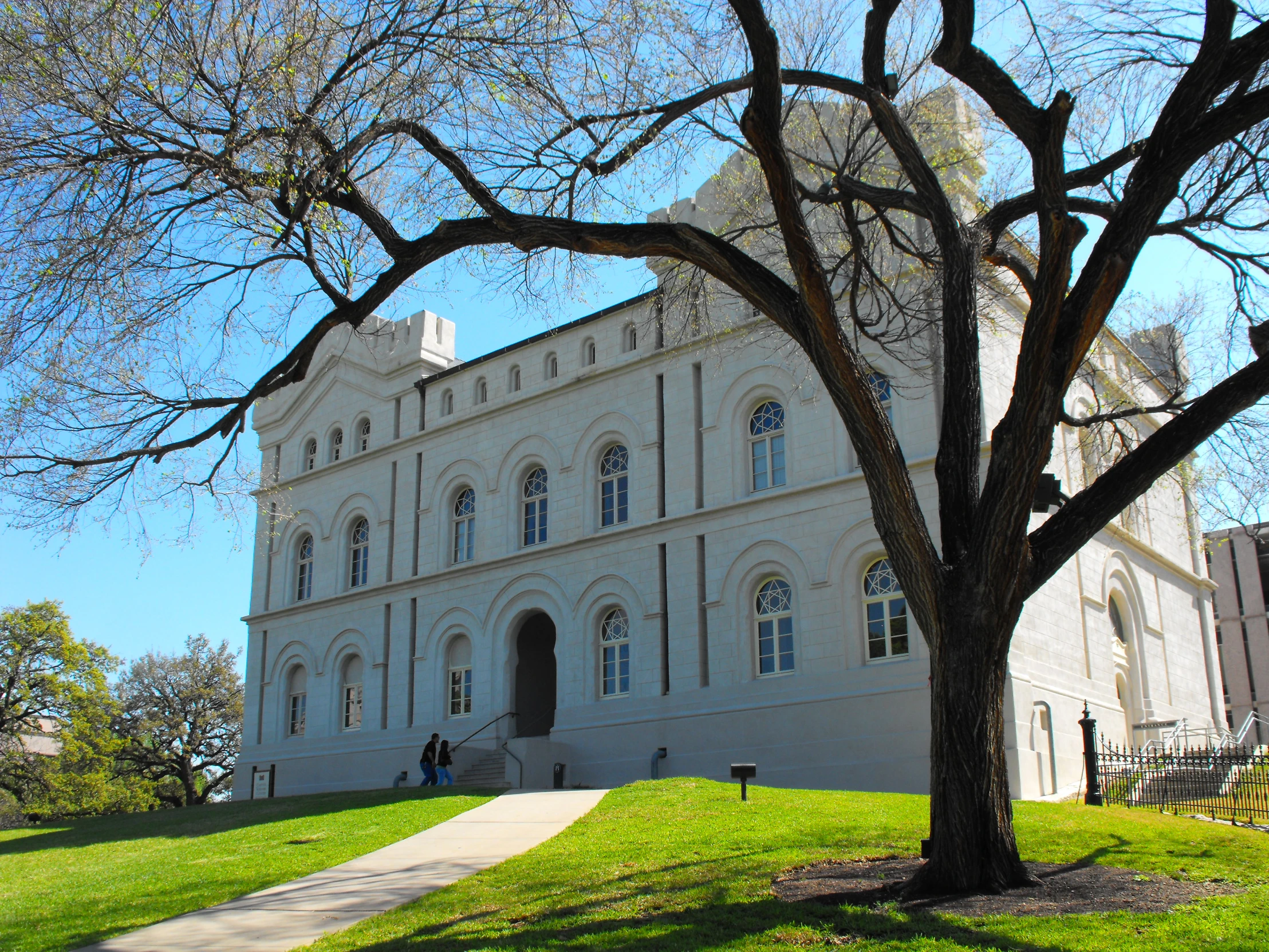 the building is located next to an old tree