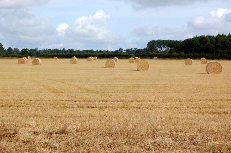 a field with bales of hay sitting in the middle of it