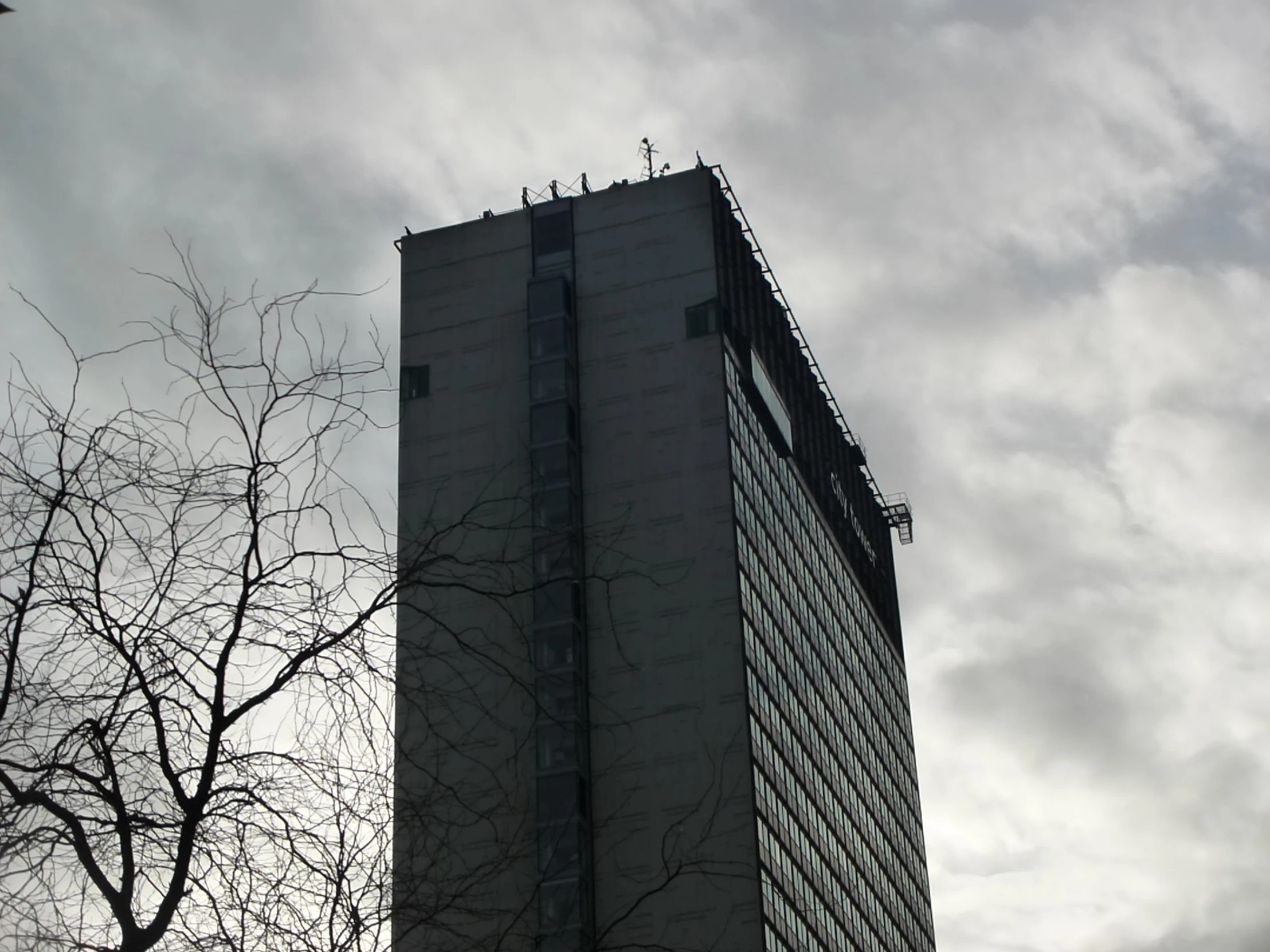 a building stands in the clouds next to a tree