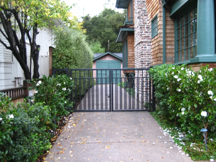 flowers line the walkway in front of some houses